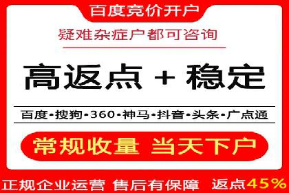 百度竞价广告运营的技巧与误区：成功案例解析
